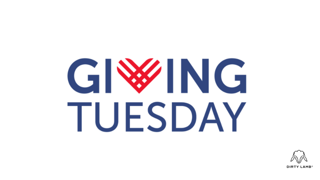 Giving Tuesday is Finally Here!